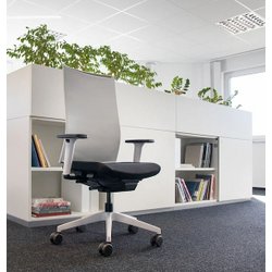 Lento agilis matrix | Edition