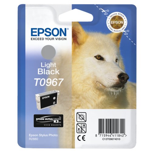 Inkjet-Patrone EPSON 13T09674010