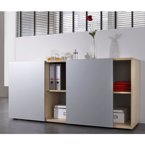 Sideboard Regal mit 2 Schüben und Türen