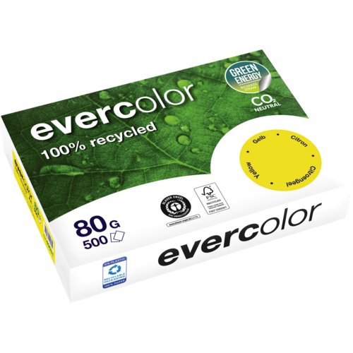 Recycling-Kopierpapier Evercolor