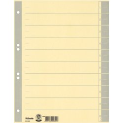 Trennblatt farbig bedruckt, für Format A4, Farbe Aufdruck grau, Chamonis