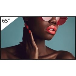 LCD-Display BRAVIA 4K HDR Professional, SONY®