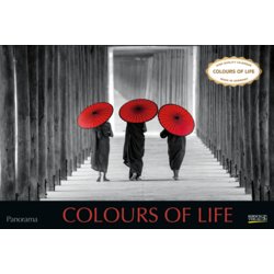 Fotokalender Colours of Life 2025, Korsch
