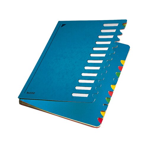 Leitz Ordnungsmappe Deskorganizer Color 12 Fächer