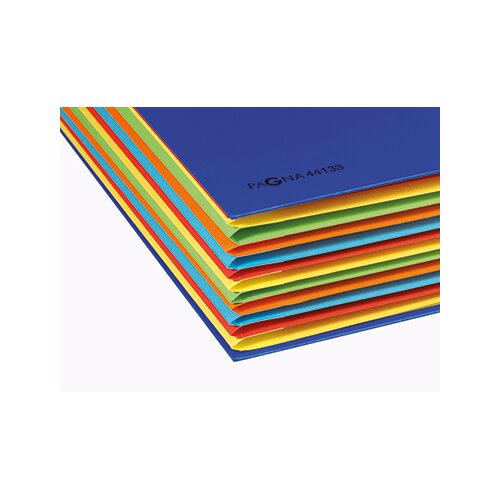 PAGNA Ordnungsmappe Deskorganizer Premium 12 Fächer