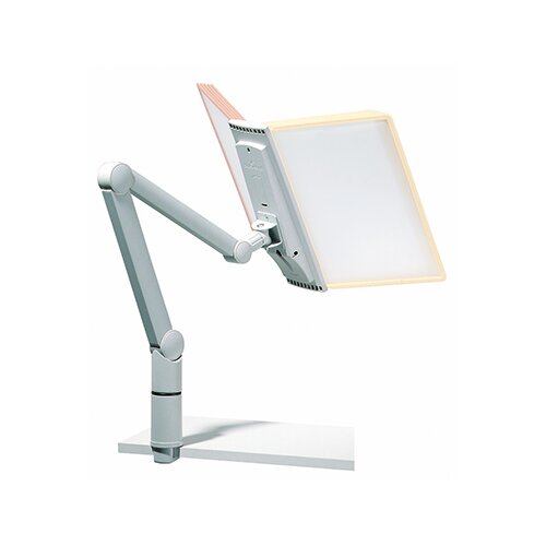 DURABLE Sichttafelschwenkarm SHERPA® SWING ARM MODULE 10