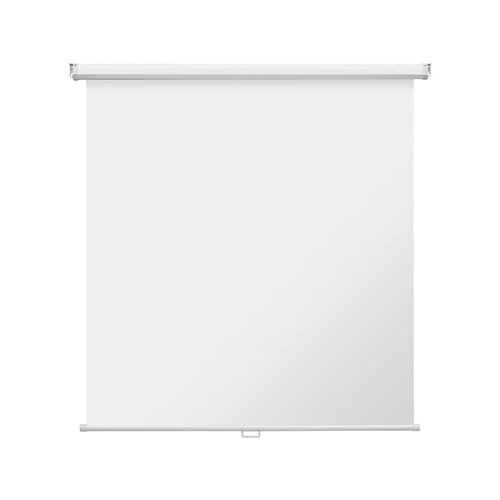 magnetoplan® Rolloleinwand 1:1