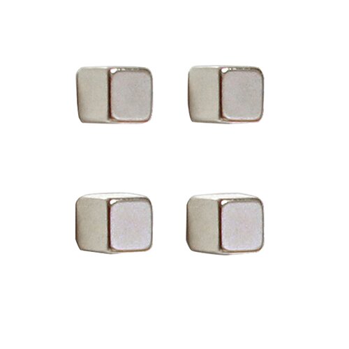 FRANKEN Magnet 10 x 10 x 10 mm (B x H x T)