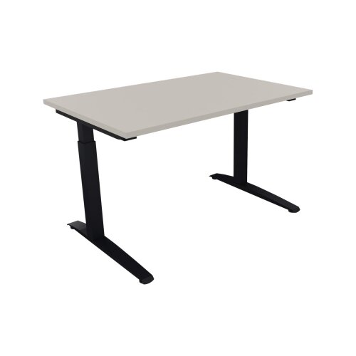 Schreibtisch all in one 1.200 x 650-850 x 800 mm (B x H x T) Flachkufe Quadratrohr lichtgrau