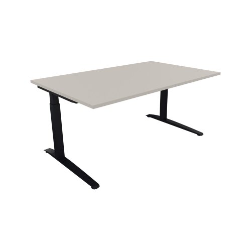 Schreibtisch all in one 1.600 x 650-850 x 1.000 mm (B x H x T) Flachkufe Quadratrohr lichtgrau
