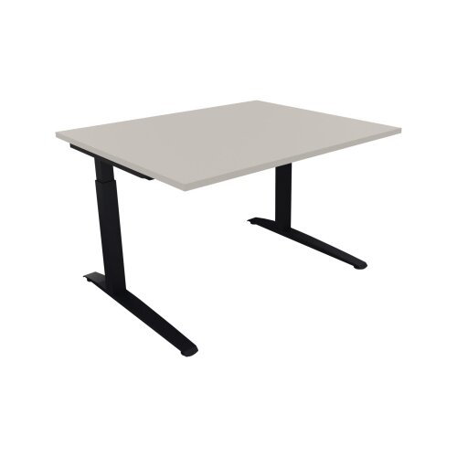 Schreibtisch all in one 1.200 x 650-850 x 1.000 mm (B x H x T) Flachkufe Quadratrohr lichtgrau