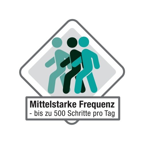 Doortex Schmutzfangmatte advantagemat® Innenbereich 120 x 90 cm (B x L)