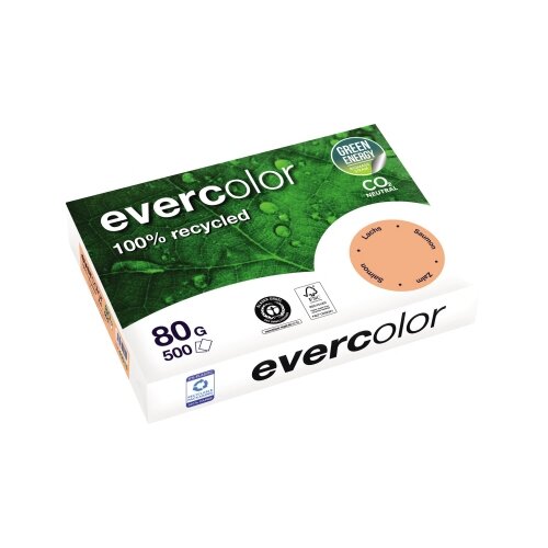 Clairefontaine Kopierpapier evercolor