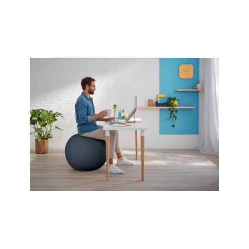 Leitz Sitzball Ergo Cosy