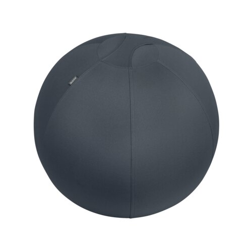 Leitz Sitzball Ergo Cosy