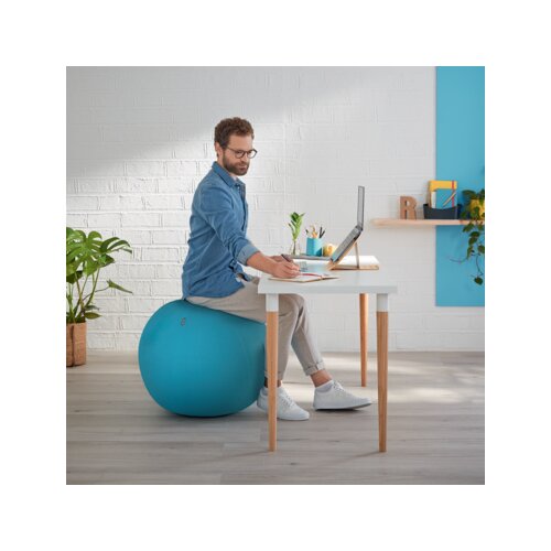 Leitz Sitzball Ergo Cosy