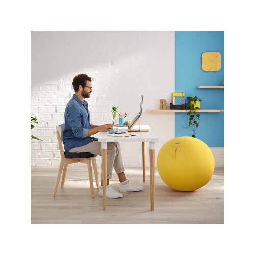 Leitz Sitzkissen Ergo Cosy