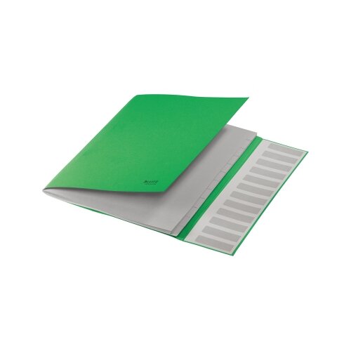 Leitz Ordnungsmappe Recycle 12 Fächer