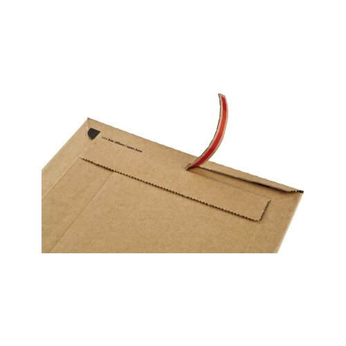 ColomPac® Versandtasche Rigid Plus 150 x 250 x -50 mm (B x H x T) 100 St./Pack.