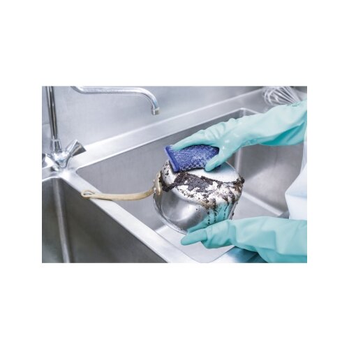Spontex Reinigungsschwamm Superinox Pad