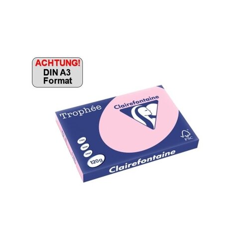 Clairefontaine Kopierpapier Trophée Color DIN A3 160 g/m²