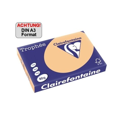 Clairefontaine Kopierpapier Trophée Color DIN A3 80 g/m²