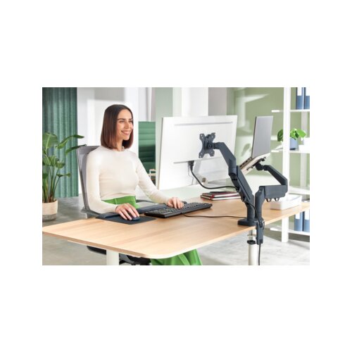 Leitz Monitorschwenkarm Ergo
