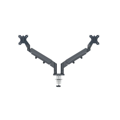 Leitz Monitorschwenkarm Ergo 2 Arme