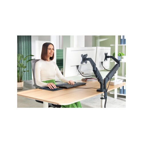 Leitz Monitorschwenkarm Ergo 2 Arme