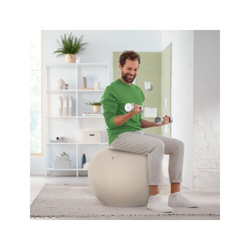 Leitz Sitzball Ergo Active 65 cm