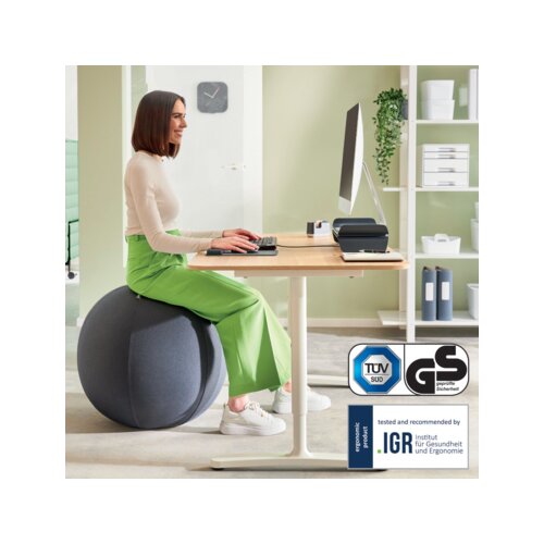 Leitz Sitzball Ergo Active 65 cm