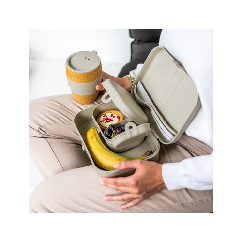 Koziol Lunchbox PASCAL READY