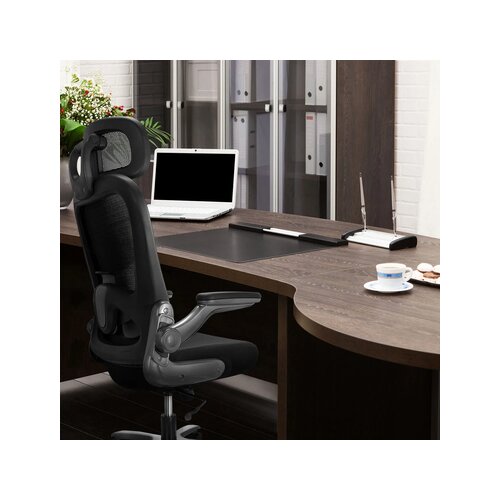 hjh OFFICE Bürodrehstuhl INSTRUCTOR T I PRO Titan XXL mit Kopfstütze