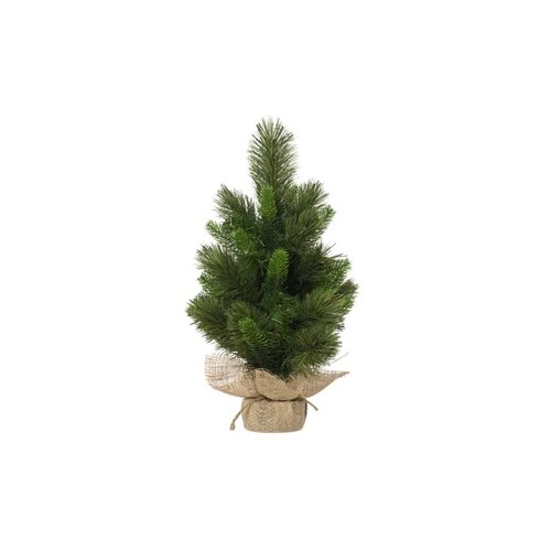 EVERLANDS Weihnachtsbaum Edmonton Spruce