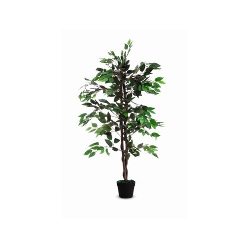 Paperflow Zimmerpflanze Feigenbaum