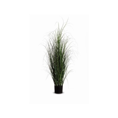 Paperflow Zimmerpflanze Gras