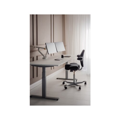 BakkerElkhuizen Monitorschwenkarm BE Flexible Dual