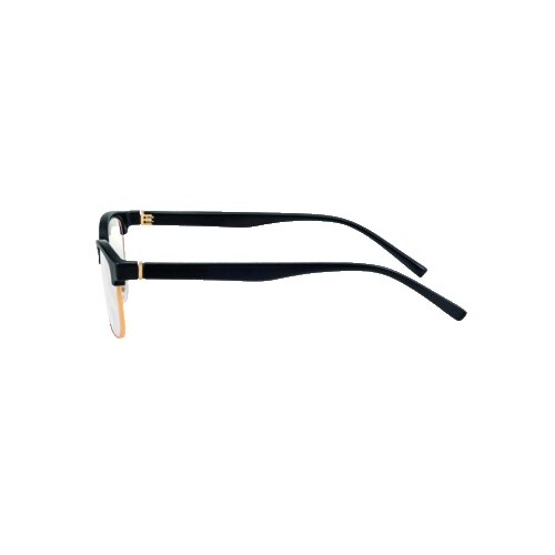 Filtral Lesebrille Palermo schwarz/gold