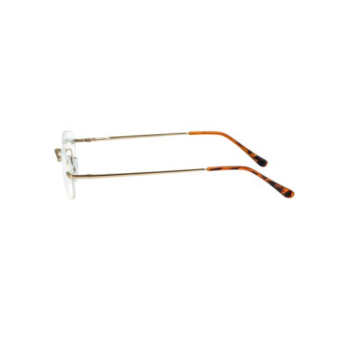 Filtral Lesebrille Hamburg gold