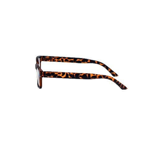 Filtral Lesebrille Oslo havannabraun