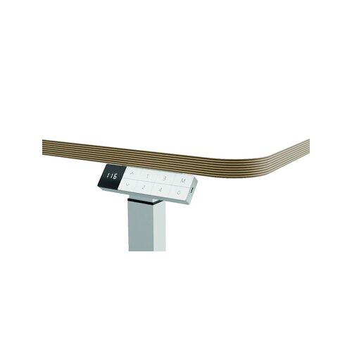 Leitz Schreibtisch Ergo 600 x 650-1.300 x 800 mm (B x H x T) elektronisch