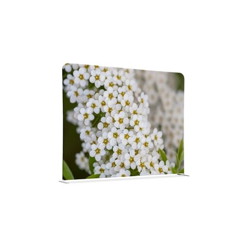 Showdown® Displays Trennwand Weiße Blume Spirea