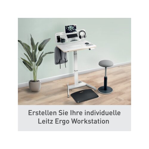 Leitz Organisationspaneel Pegboard 5 Teile