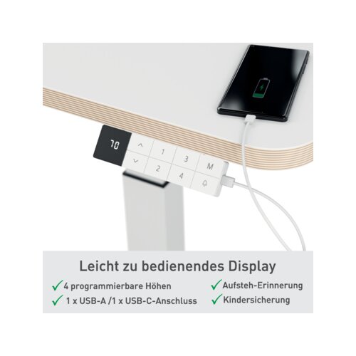 Leitz Schreibtisch Ergo 600 x 650-1.300 x 800 mm (B x H x T) elektronisch