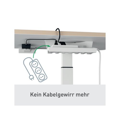 Leitz Schreibtisch Ergo 600 x 650-1.300 x 800 mm (B x H x T) elektronisch