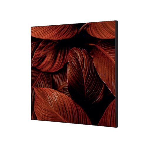 Showdown® Displays Dekobild 40 x 40 cm (B x H) Botanische Blätter