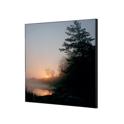 Showdown® Displays Dekobild 40 x 40 cm (B x H) Wald Sonnenaufgang
