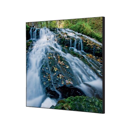 Showdown® Displays Dekobild 40 x 40 cm (B x H) Wasserfallwald