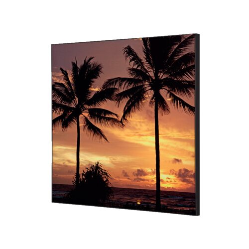 Showdown® Displays Dekobild 40 x 40 cm (B x H) Palmen Sonnenuntergang