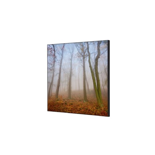 Showdown® Displays Dekobild 40 x 40 cm (B x H) Herbstnebel